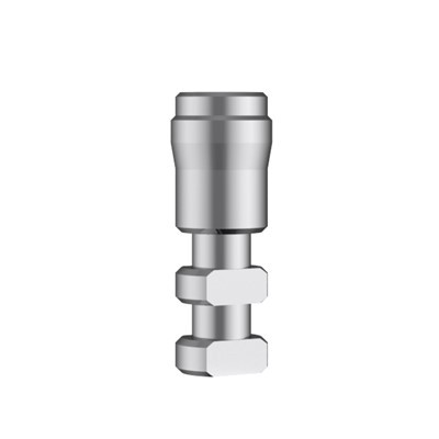 Megagen Lab Analogue